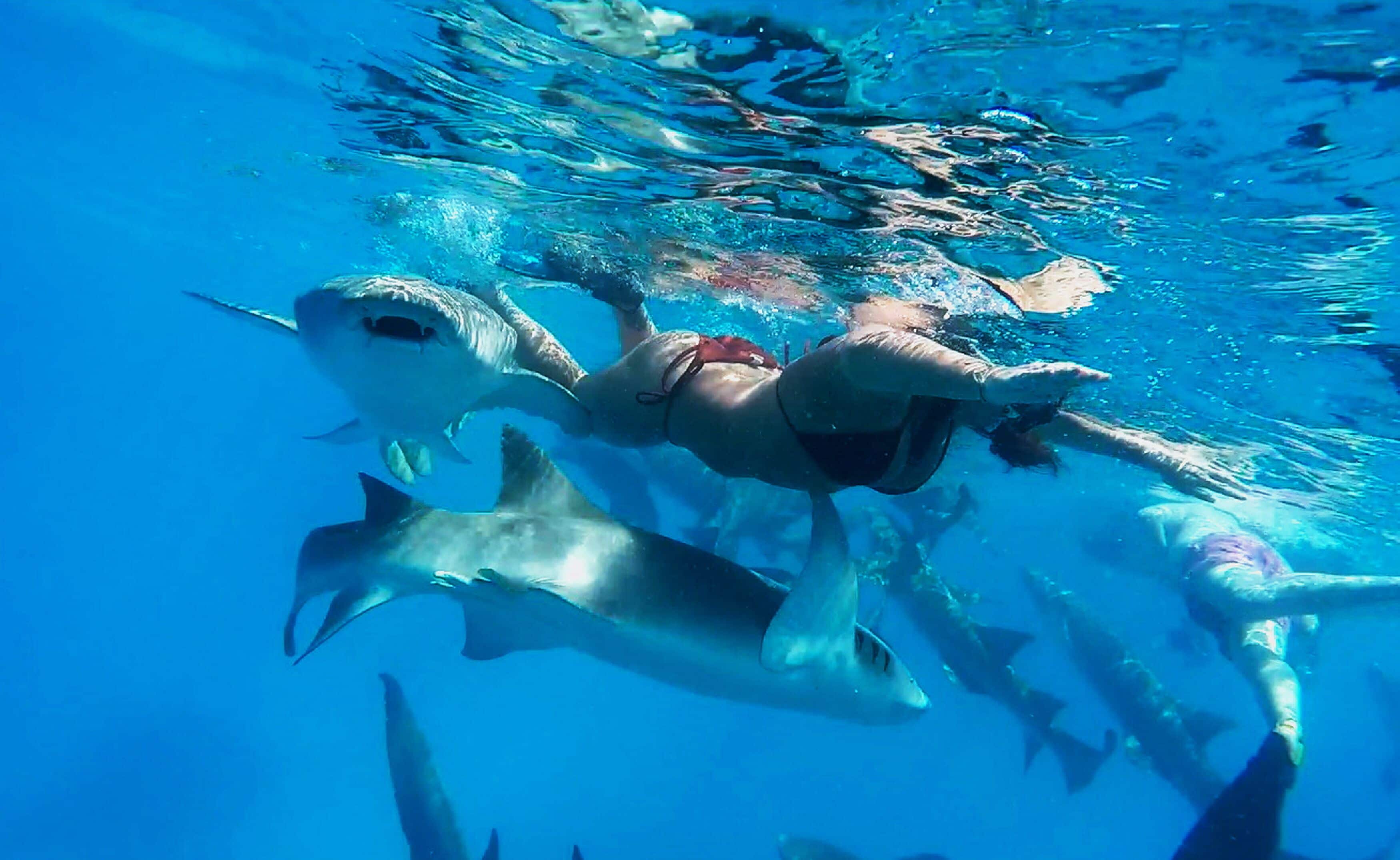 Foto - Adroit Beach Inn