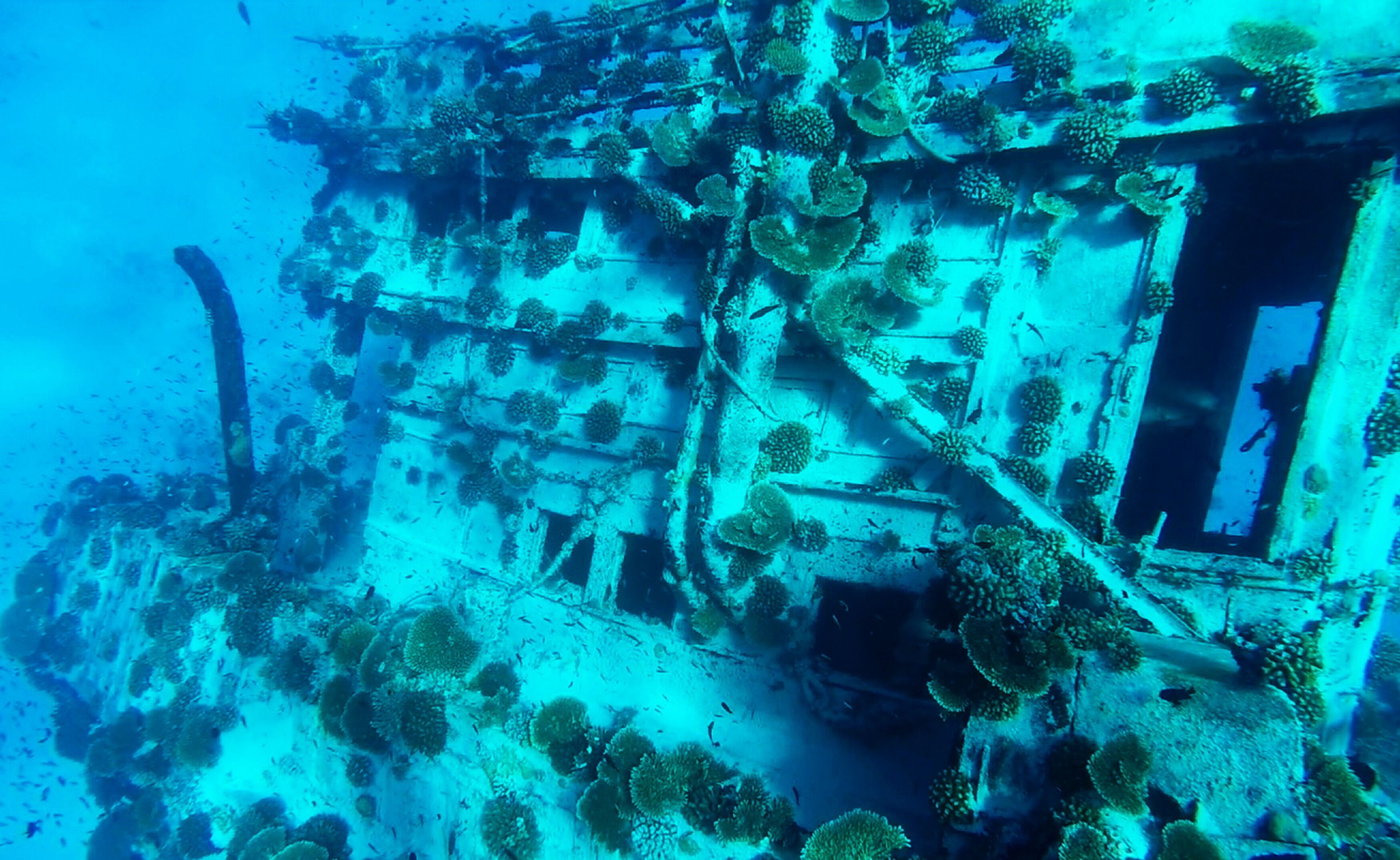 Foto - Adroit Beach Inn