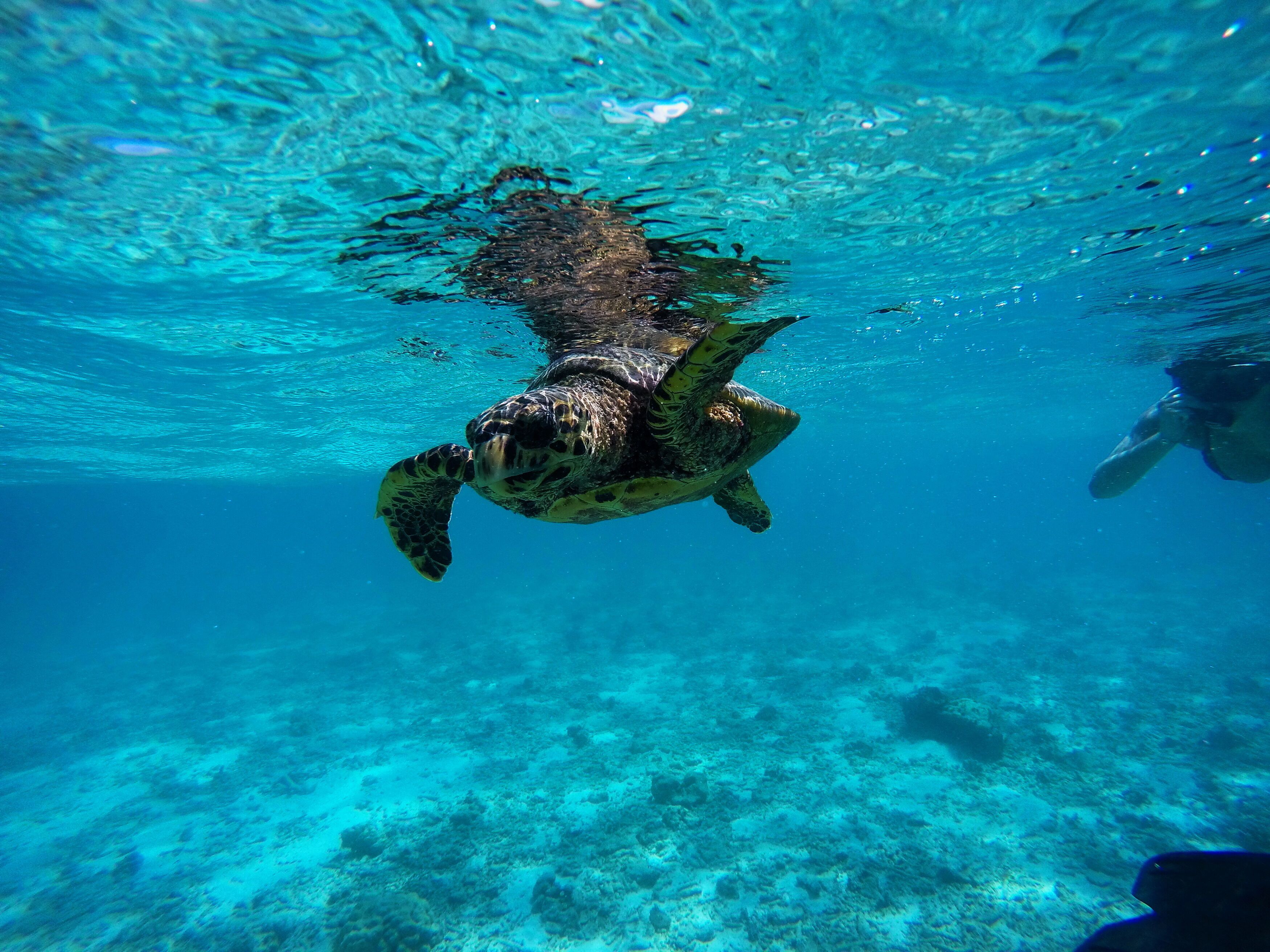 Foto - Adroit Beach Inn