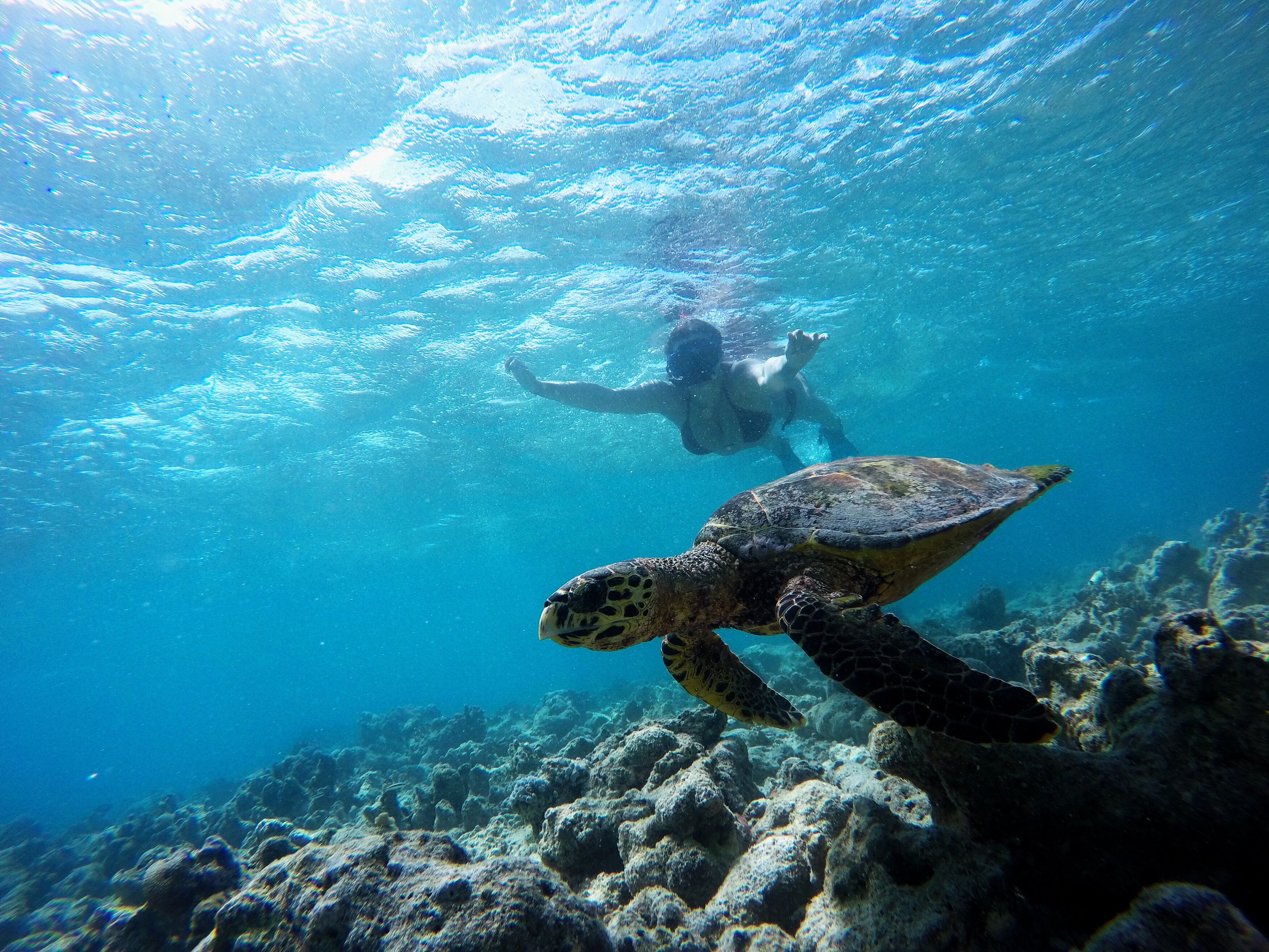 Foto - Adroit Beach Inn