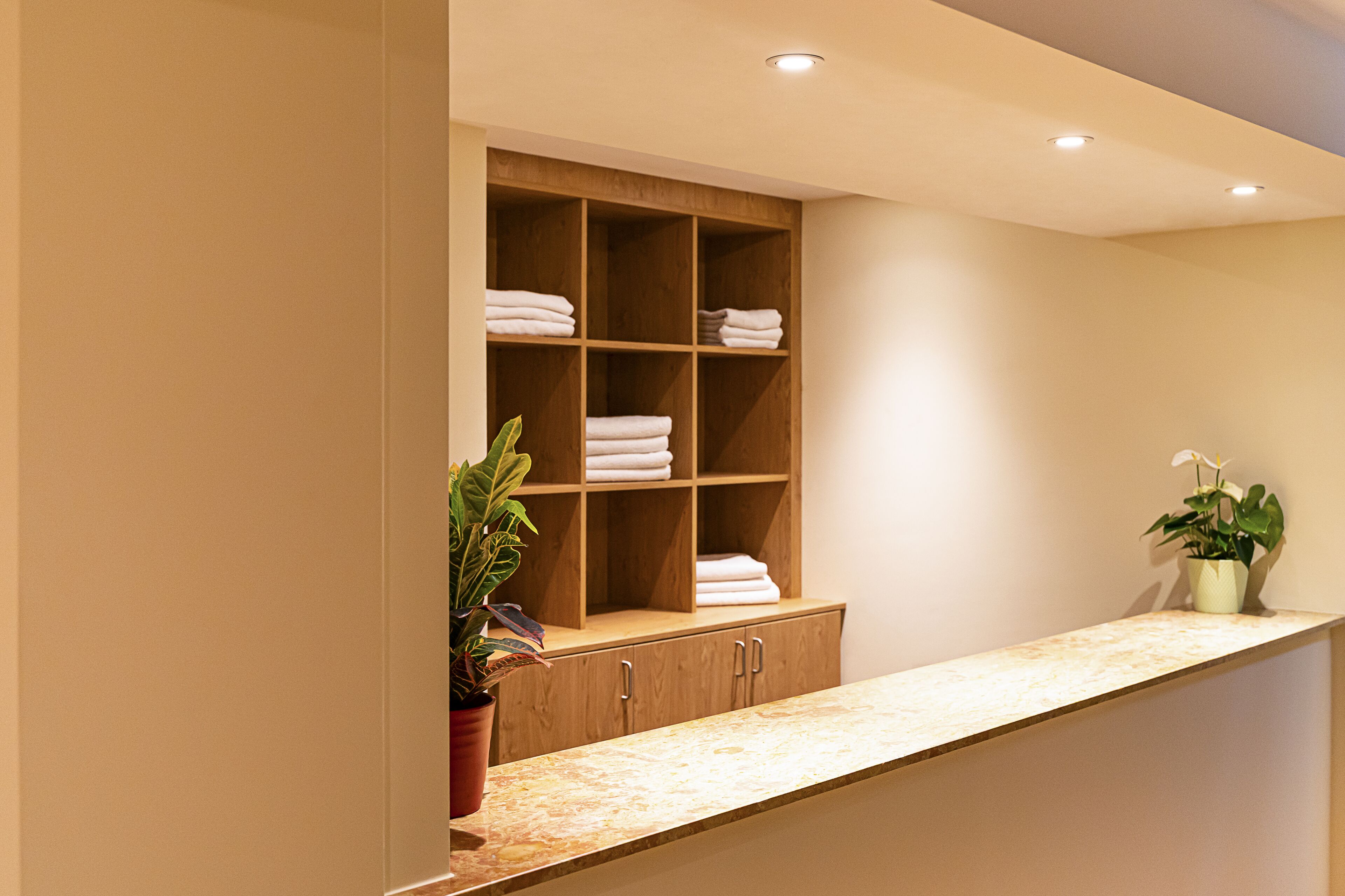Une salle de bain avec un meuble-lavabo en bois, une étagère où sont pliées des serviettes et deux plantes en pot.