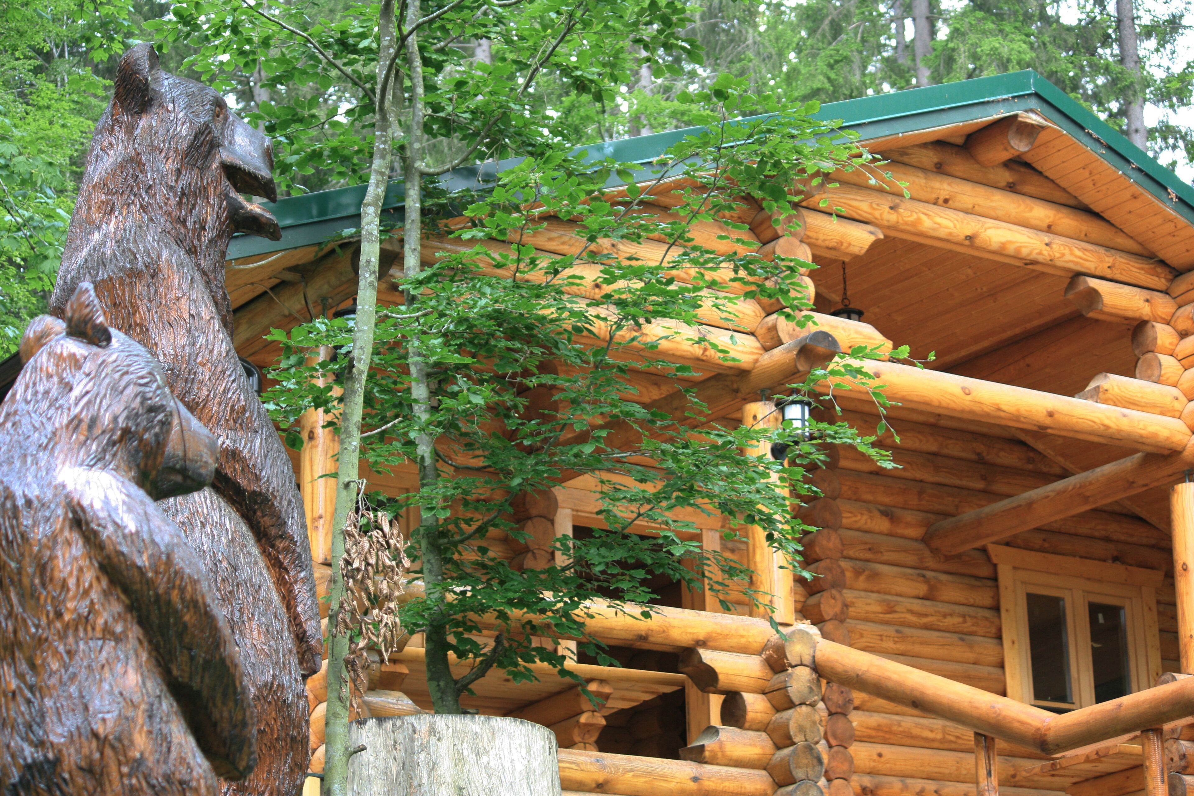 Eine rustikale Holzhütte mit einer Holzskulptur eines Bären davor, umgeben von Bäumen.