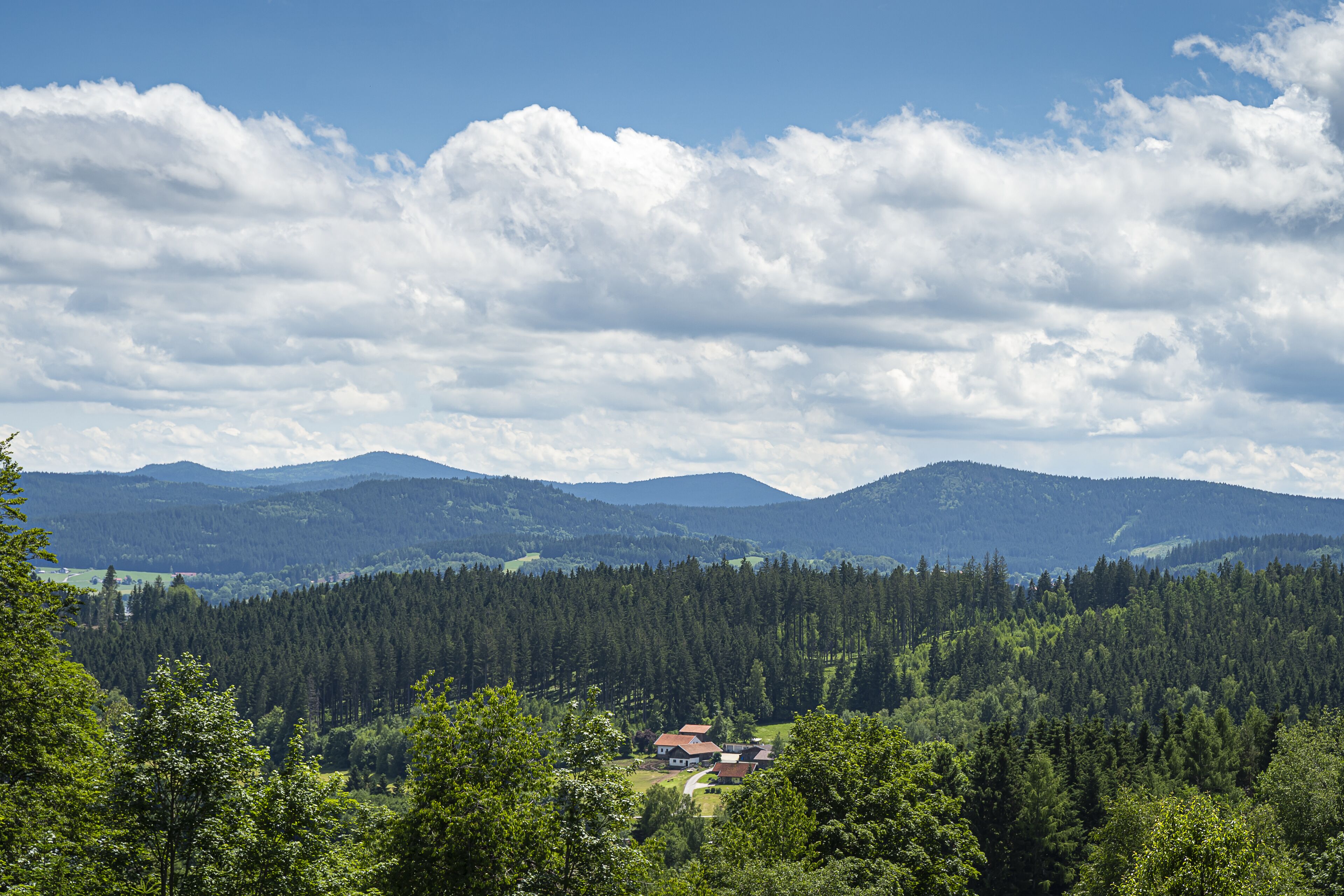 Et bjerglandskab med tætte skove og en lille klynge huse i dalen.