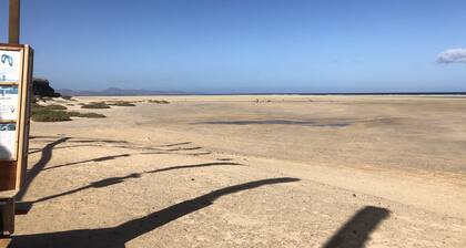 Views of the lighthouse