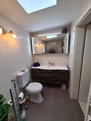 Shower, hair dryer, soap, toilet paper