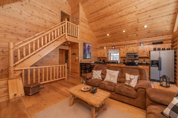 TV, fireplace, video games, DVD player