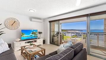 Smart TV, DVD player, books, video library
