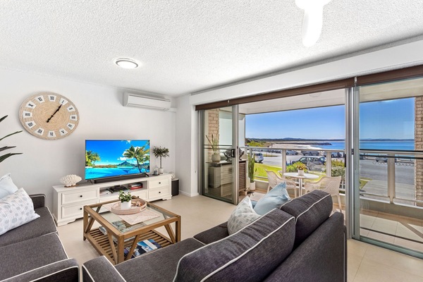 Smart TV, DVD player, books, video library