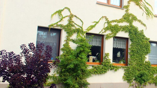 Un edificio con finestre coperte d'edera e un cartello con su scritto 'Gästehaus Wolter'.