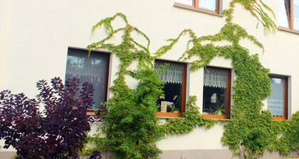 Single room 3 - Gästehaus Wolter