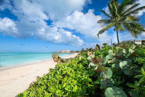 Garden Cottage - Oceanfront -