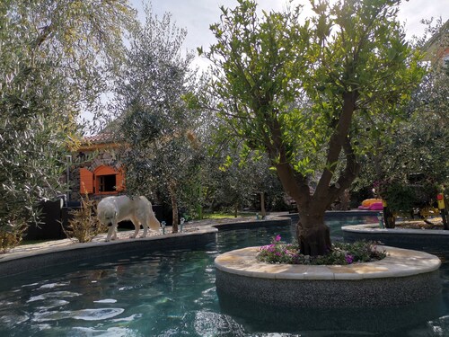 Vacation apartment with private swimming pool