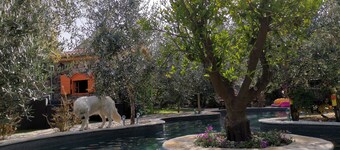 Vacation apartment with private swimming pool