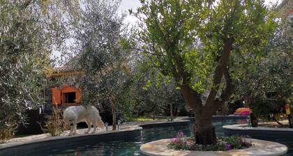 Vacation apartment with private swimming pool