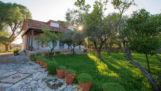 A house with a stone-paved entrance, surrounded by lush greenery and trees.
