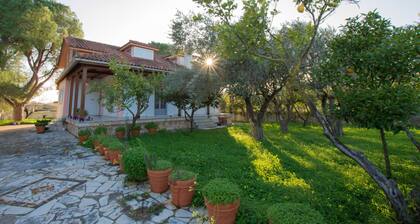 Ilenia's 3 Bedroom House With Private Pool