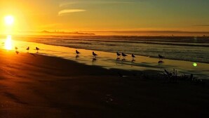 Een strandscène met een ondergaande zon aan de horizon, vogels in het zand en een rustige zee.