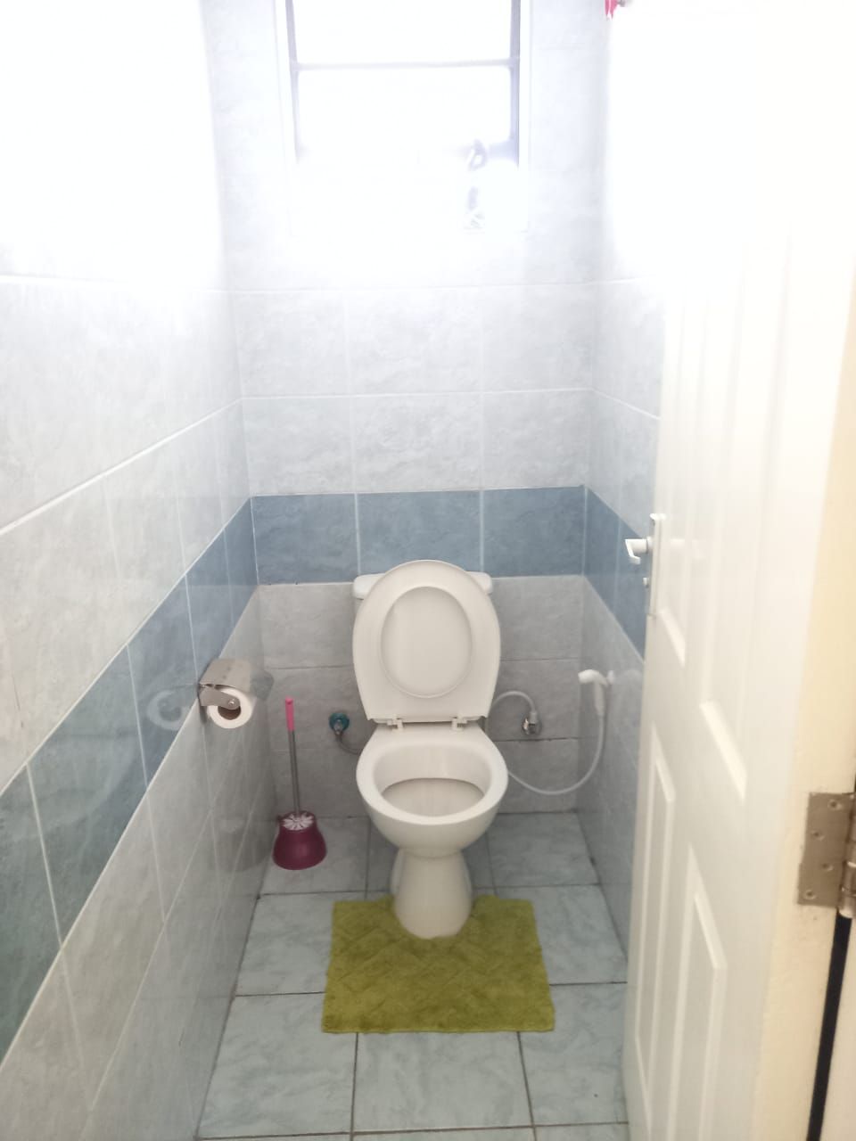 Une petite salle de bain avec des toilettes, un bidet et un tapis vert sur le sol.