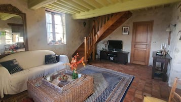 Télévision, cheminée, lecteur de DVD, baby-foot