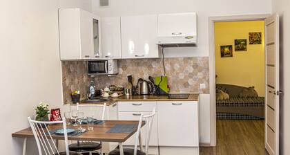 New stylish apartment