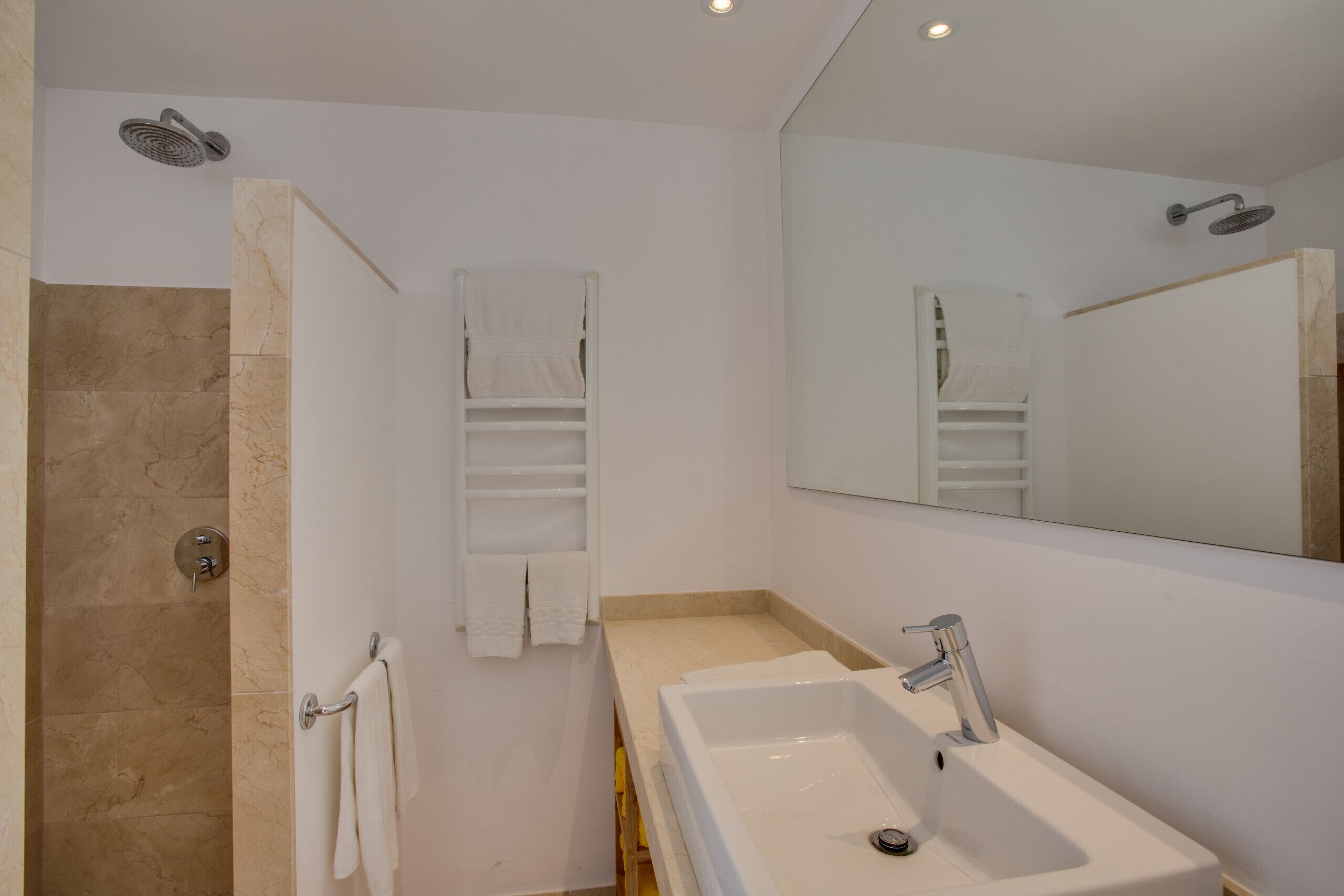 Een moderne badkamer met een douche, een wastafel en een spiegel.