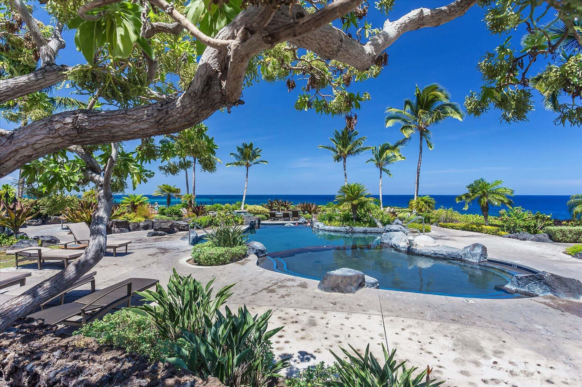 A pool area with lounge chairs, palm trees, and a view of the ocean.