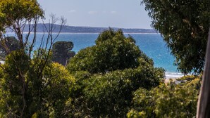 A coastal landscape with dense foliage and a view of the sea.