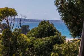 Eine Küstenlandschaft mit dichter Vegetation und Blick auf das Meer.