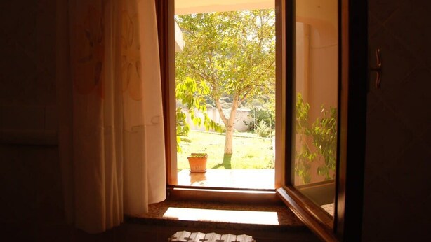 An open door leading to a sunny outdoor area with a potted plant and a tree.