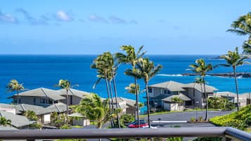A coastal residential area with houses, palm trees, and a view of the ocean.