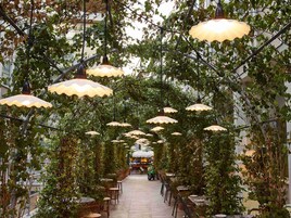 2 間餐廳；薄餅