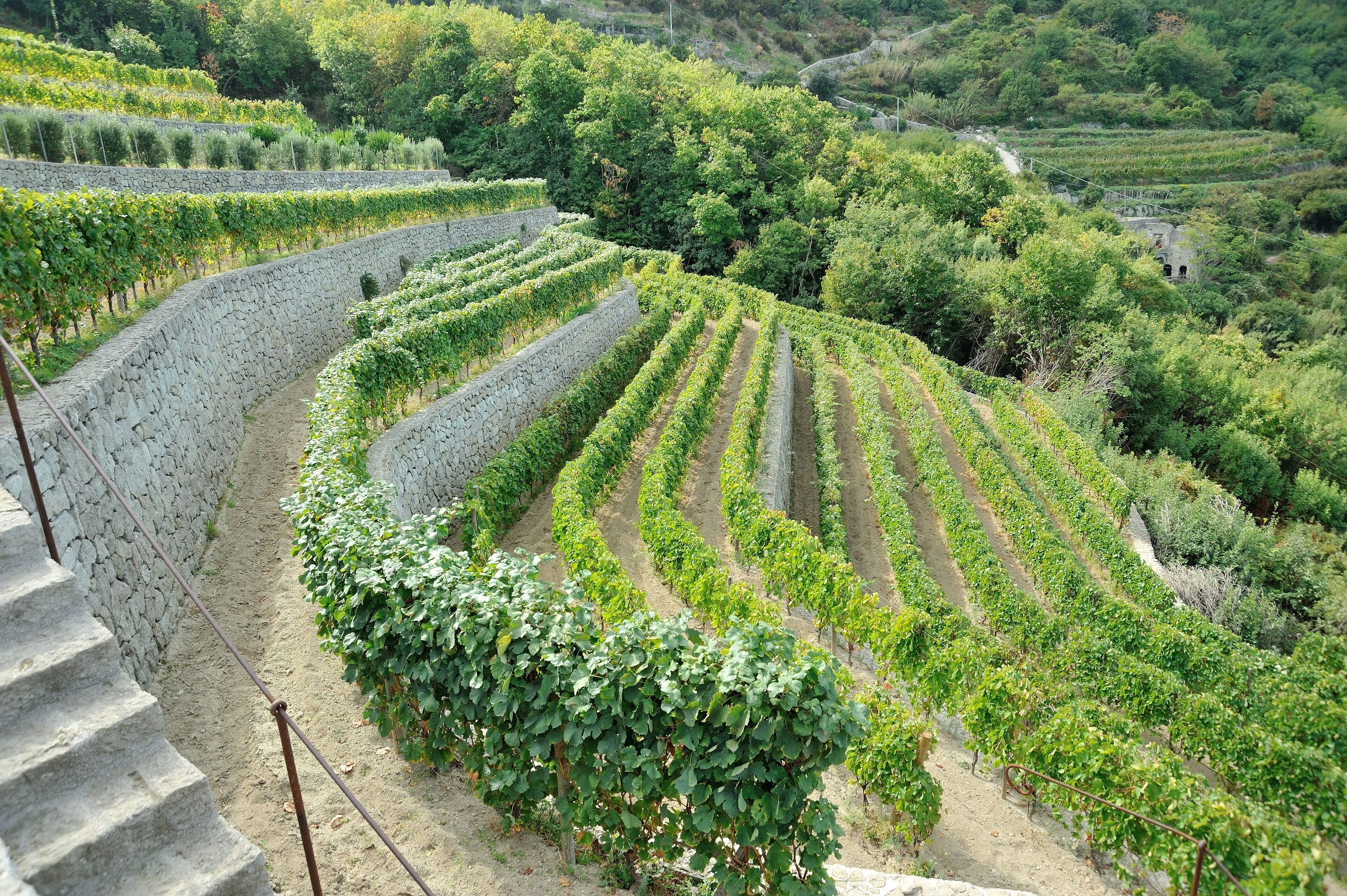 Photo - Resort Terme La Pergola