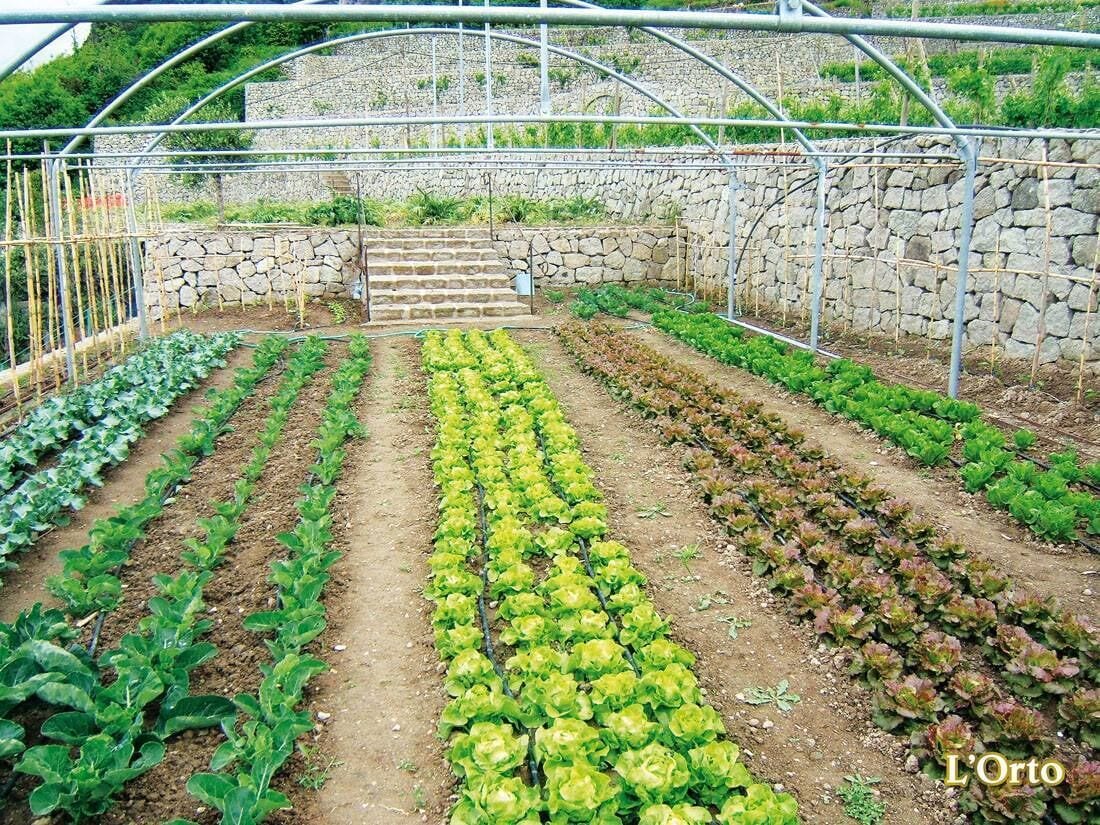 Photo - Resort Terme La Pergola