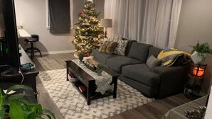 Un salon avec un canapé gris, une table basse, un téléviseur, un sapin de Noël et une fenêtre avec des rideaux.