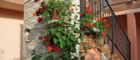 Overnattingsstedets uteområder