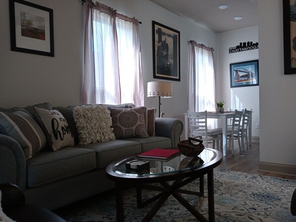 Smart TV, fireplace, books