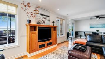 Una Smart TV, una chimenea, un reproductor de DVD, libros