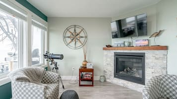 TV, fireplace, books