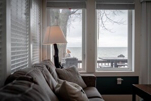 Smart TV, fireplace, books