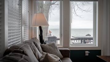 TV, fireplace, books