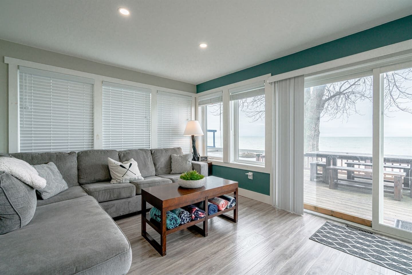 TV, fireplace, books