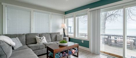 Televisión, chimenea y libros