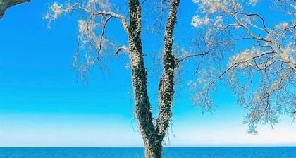 The Rose Cottage: on the Lake - Stay with Us!