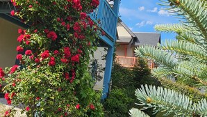 A building with a blue balcony and a flowering plant.
