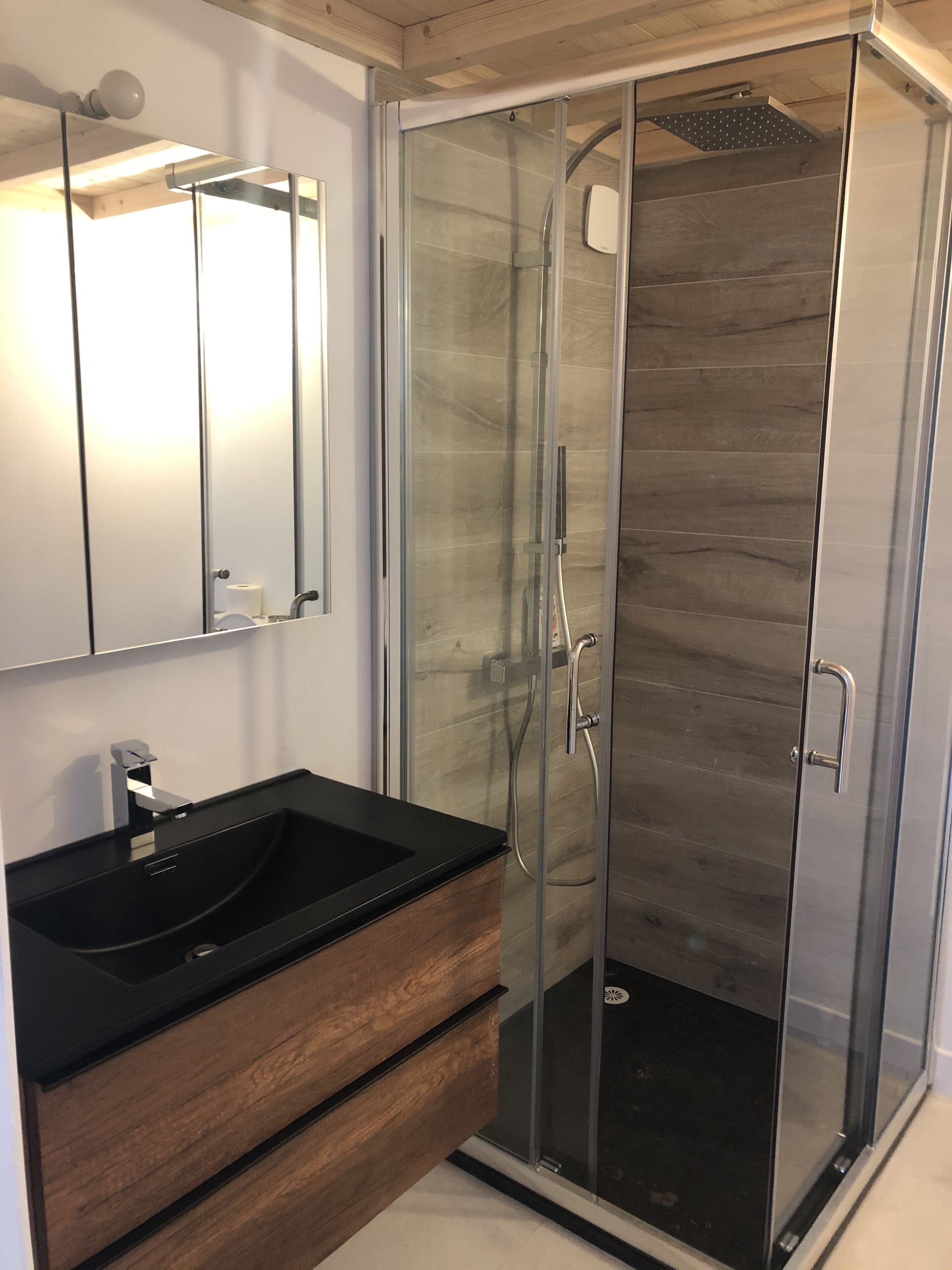 Shower, hair dryer, toilet paper