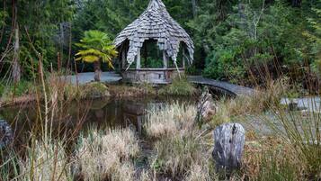 Terrain de l’hébergement