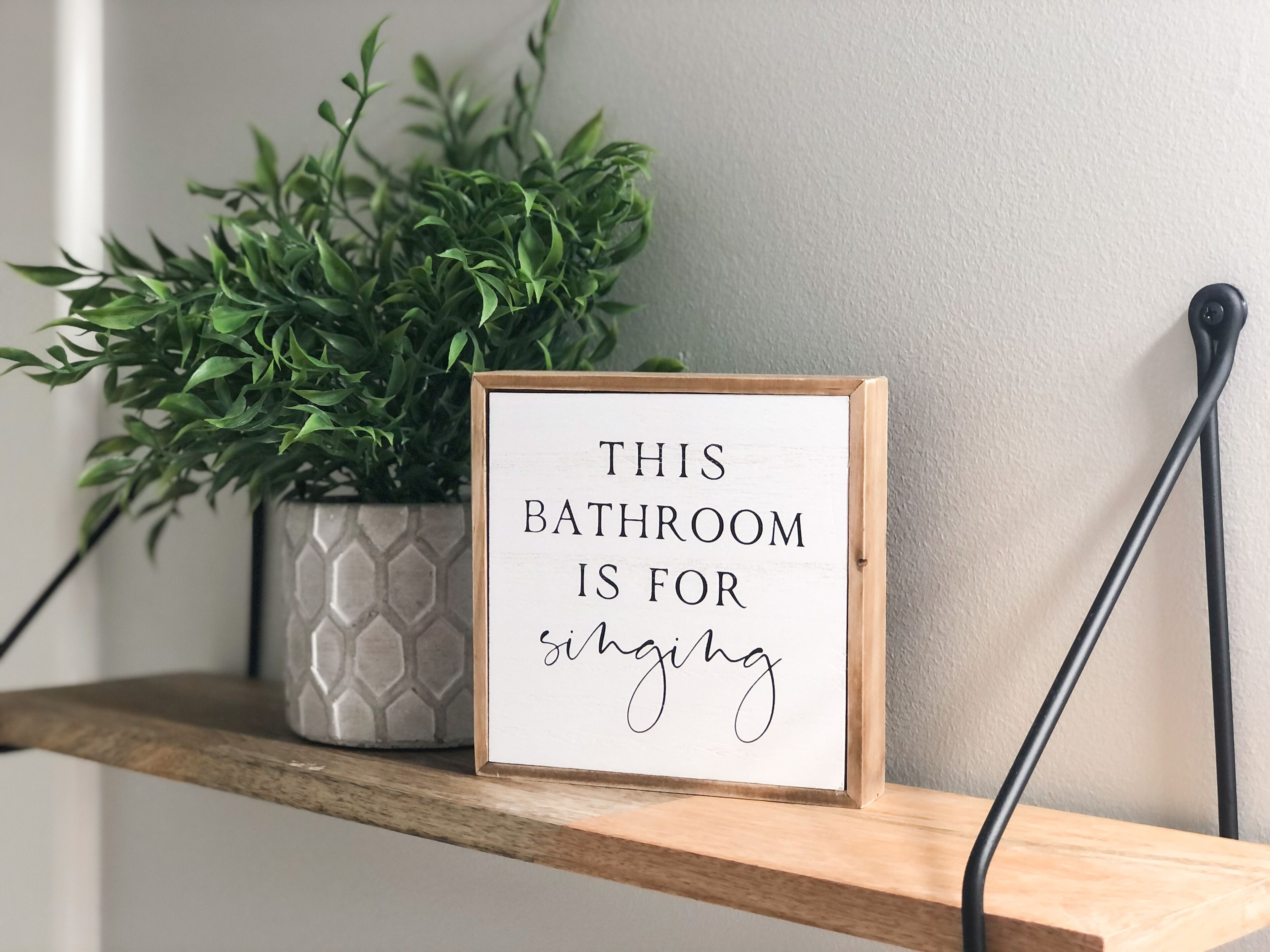 A framed sign with text on a shelf next to a potted plant.
