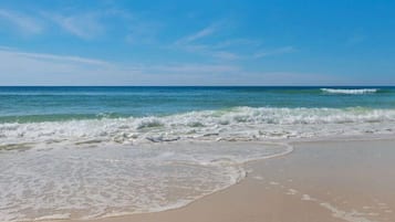 بالقرب من الشاطئ