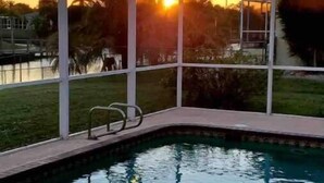 Ein Schwimmbecken mit Glasveranda, umgeben von einer Rasenfläche und Palmen, mit untergehendem Sonnenuntergang im Hintergrund.
