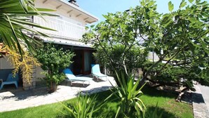 A house with a patio, two blue lounge chairs, and a small tree.